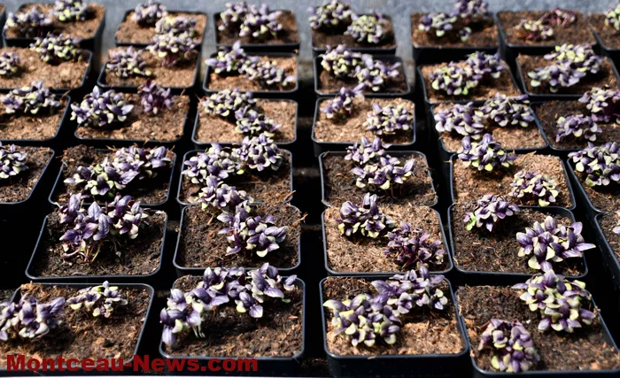 ferme-ferme-27042610