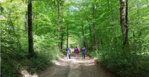 Le comité des fêtes de Pouilloux organise une marche du muguets
