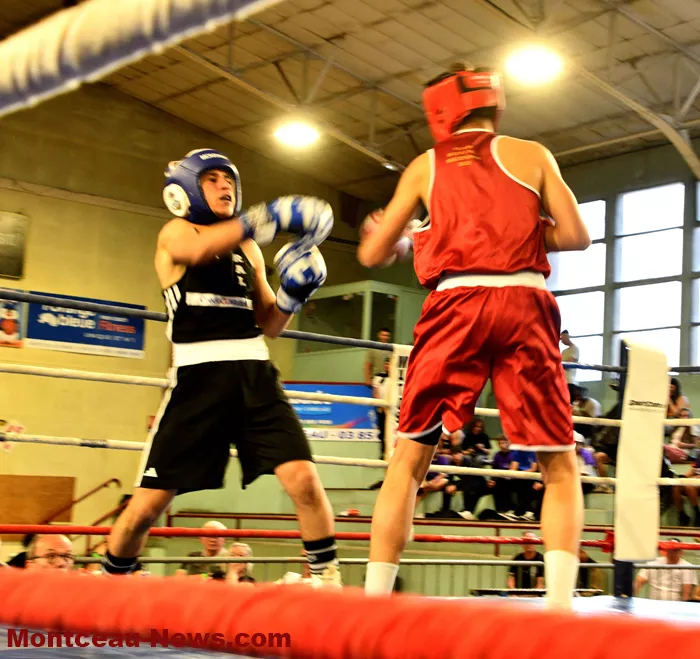 ring-box-montceau-1904264