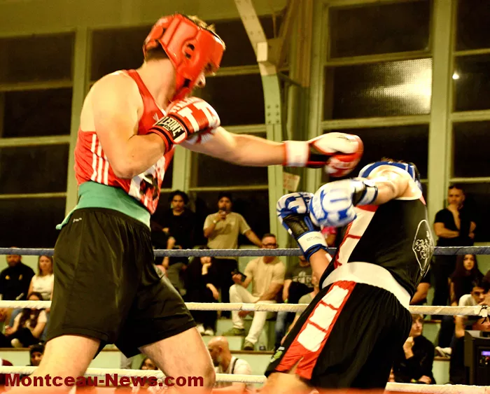 ring-box-montceau-19042642