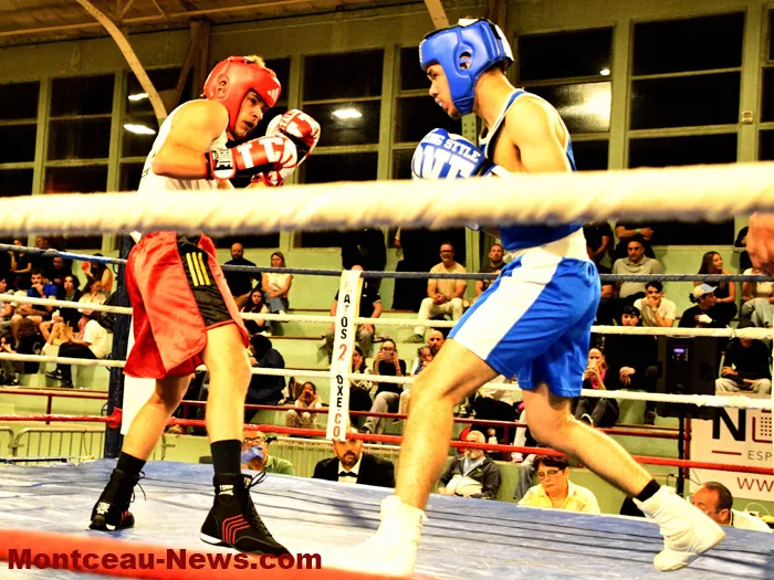 ring-box-montceau-19042650