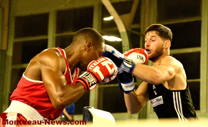 ring-box-montceau-19042697