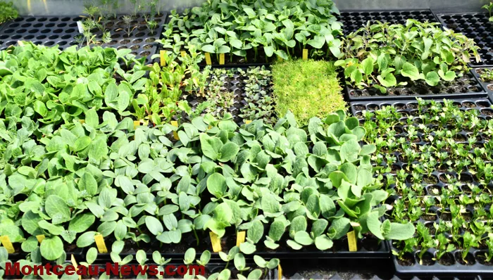 st-vallier-ferme-27042611