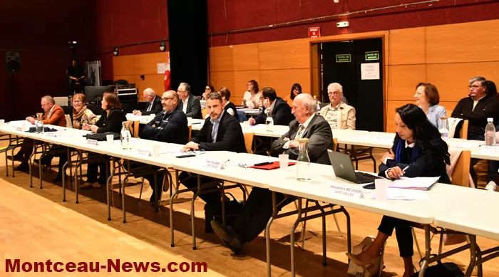 vote-vice-presitent-1604269