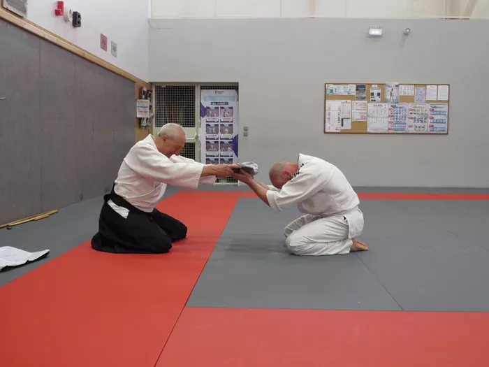 aikido-2805267