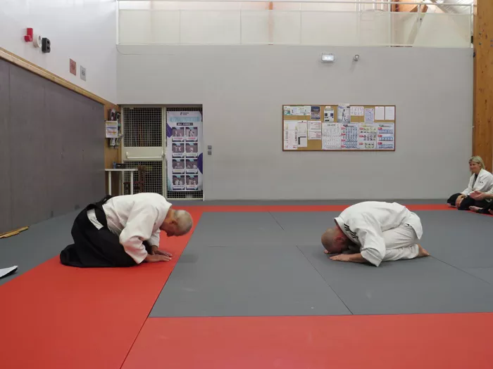 aikido-2805268