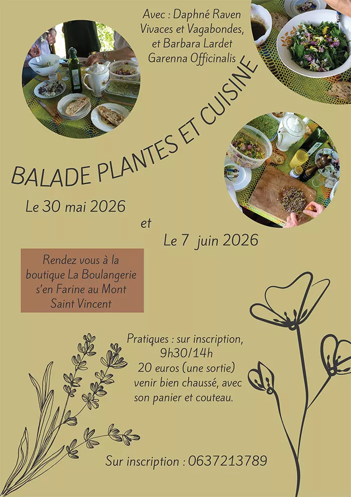 balade-plante-100526