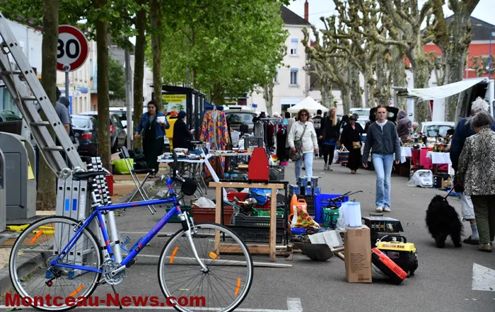 bouquinerie-04052612