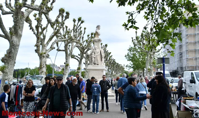broc-bouquinerie-0405262