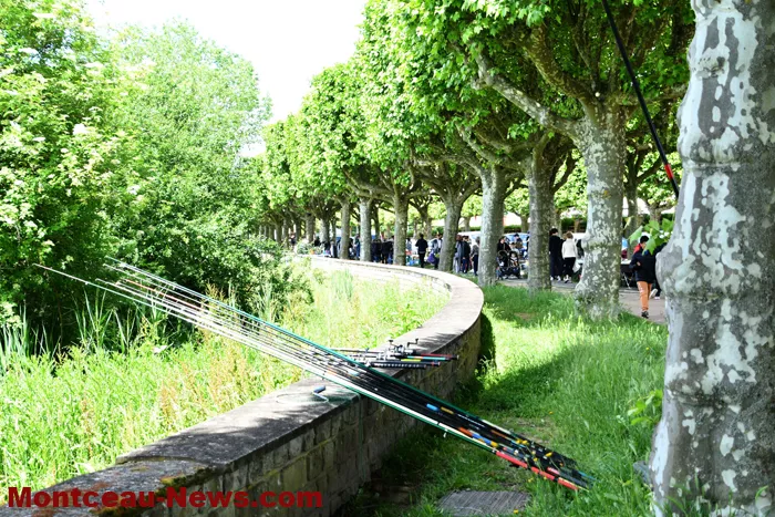 broc-marronniers-18052611
