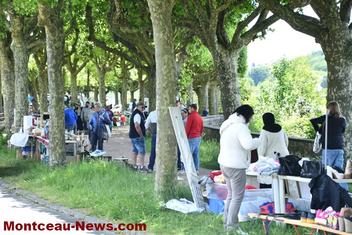 broc-marronniers-18052616