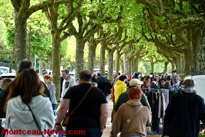 broc-marronniers-1805269