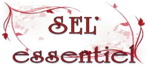 Sanvignes : Sel Essentiel