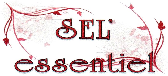 logo-sel-essentiel-15-11-16