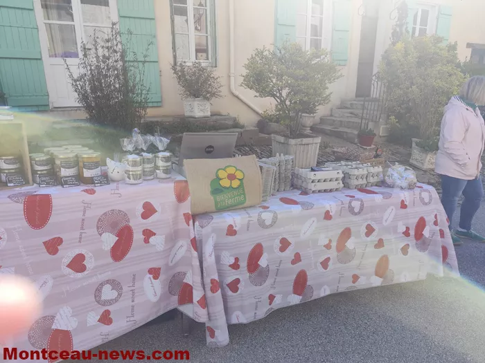 marche-mt-st-vincent-1605263