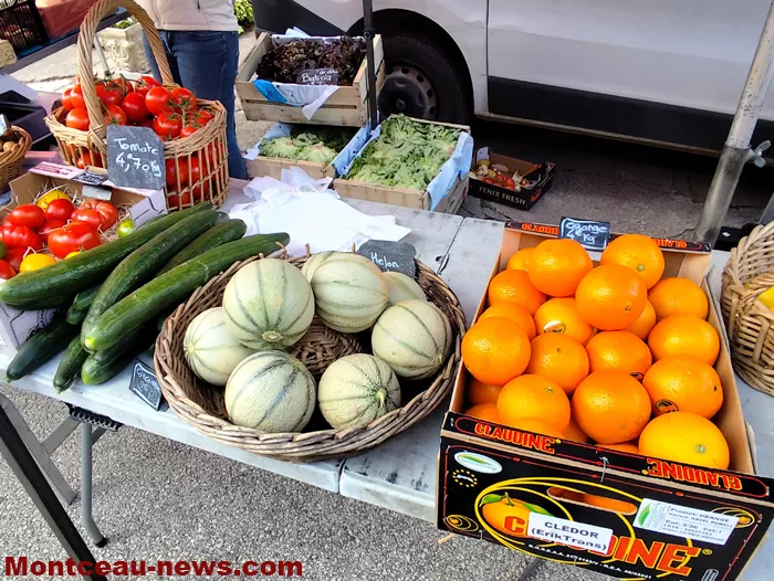 marche-mt-st-vincent-16052633