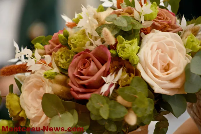 mariage-st-vallier-2405264