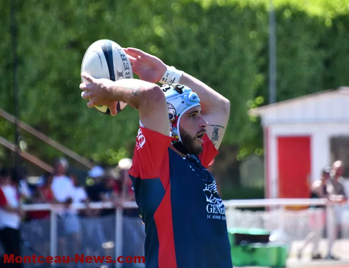rugby-2505261