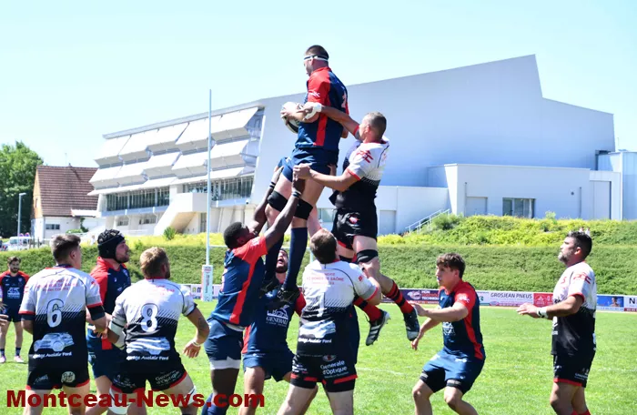 rugby-2505262