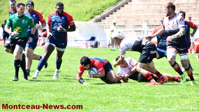 rugby-2505264