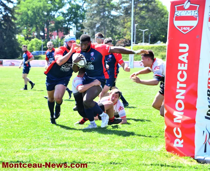 rugby-2505266