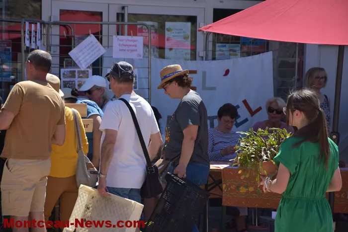 troc-plants-sanvignes-24052625