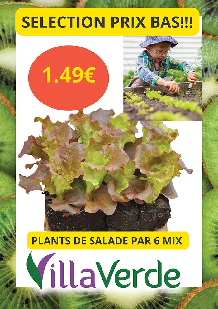 villaverde-1105261