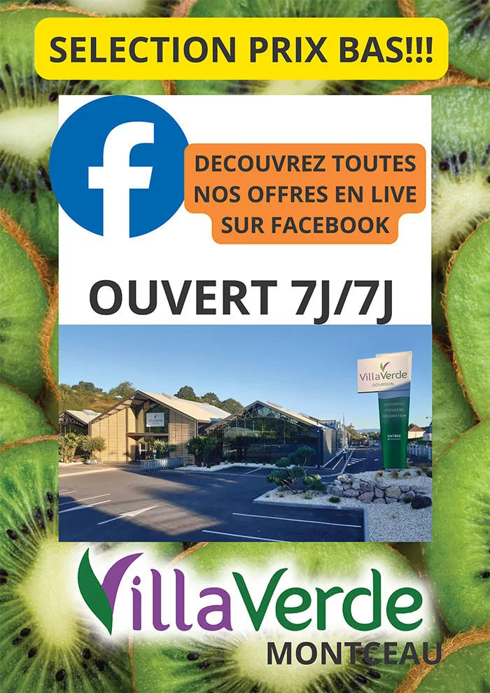 villaverde-11052613