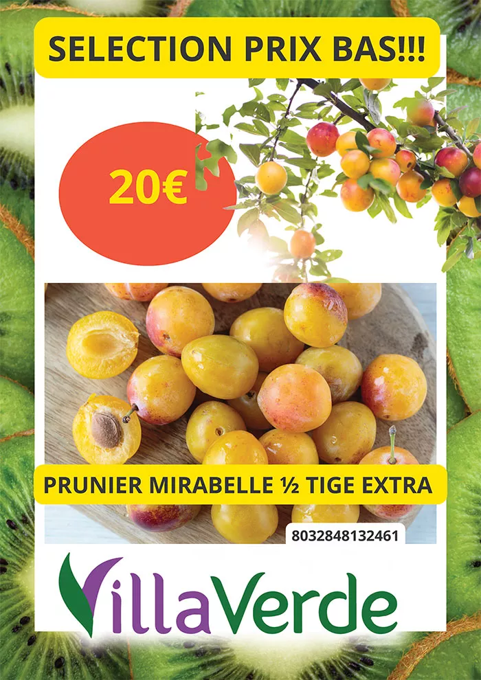 villaverde-1105263