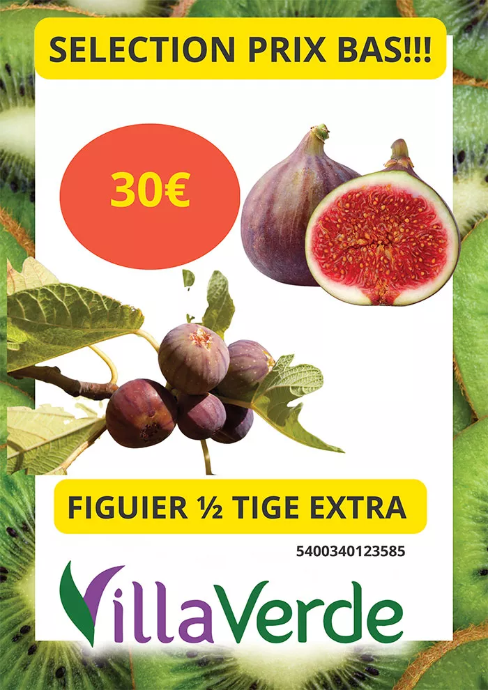 villaverde-1105266