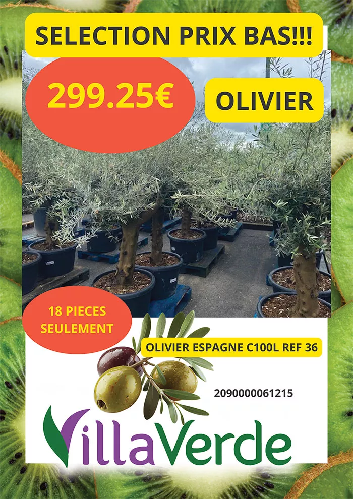 villaverde-1105268
