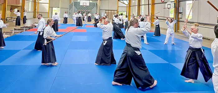 aikido-0406262