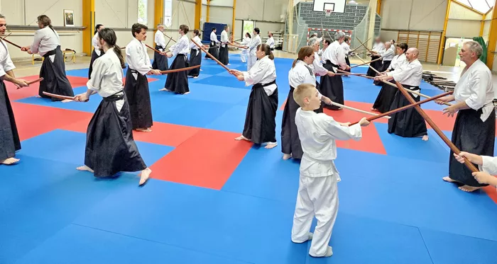 aikido-0406265