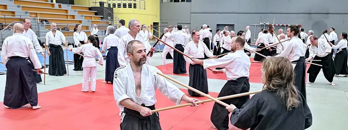aikido-1006262