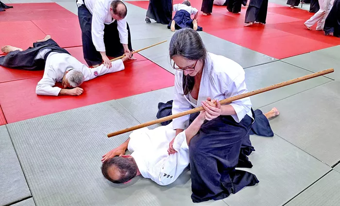 aikido-1006265