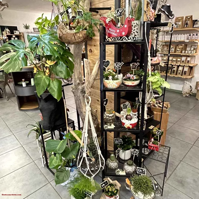 boutique-liberty-0206264