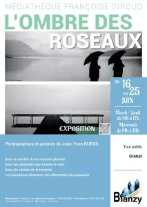 L’Ombre des Roseaux