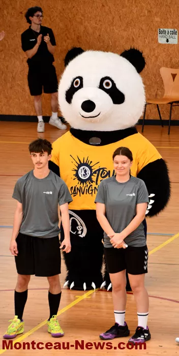 handball-sanvignes-16062617