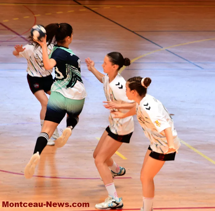 handball-sanvignes-16062621