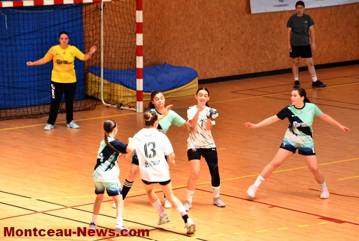 handball-sanvignes-16062622