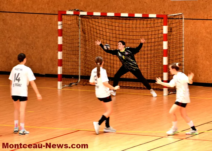 handball-sanvignes-16062630