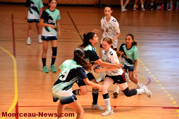 handball-sanvignes-16062631