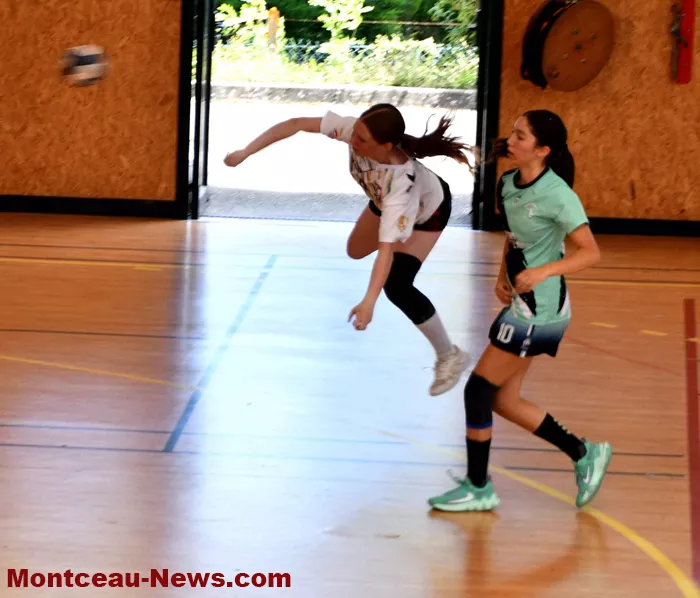 handball-sanvignes-16062632