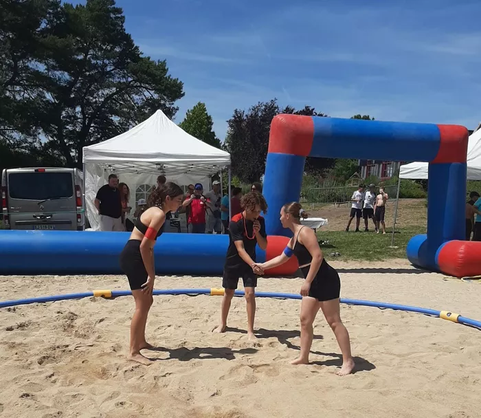 lutte-18062636