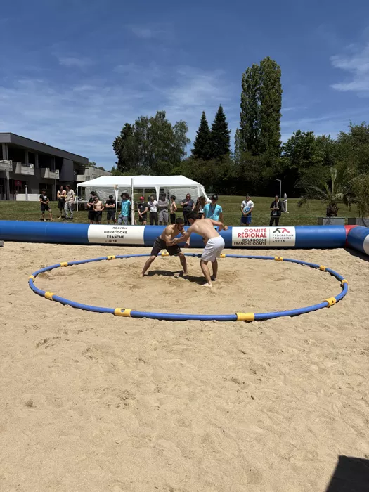 lutte-1806269