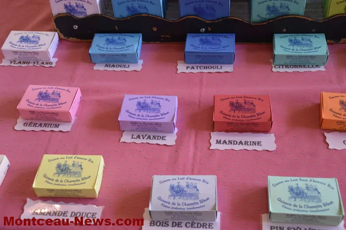 salon-bien-etre-mt-st-vincent-14062616