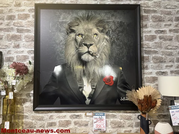 soldes-ambiance-meubles-paray-23062625