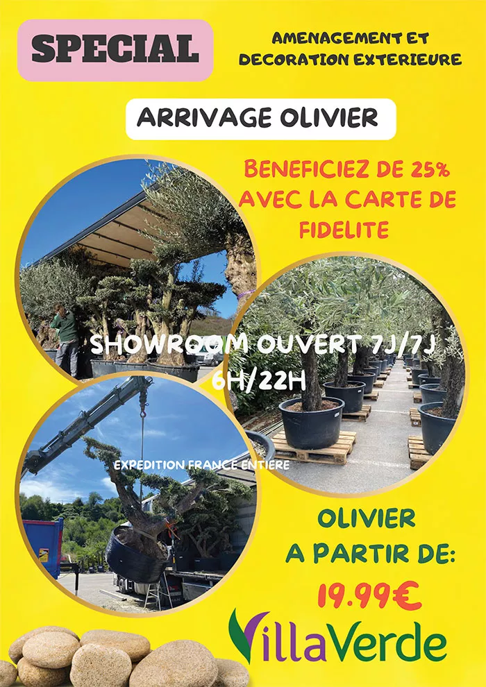 villaverde-1106264