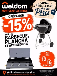 Dans magasin Weldom – Montceau