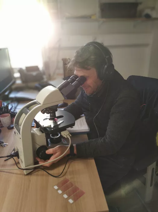 Analyste pollens Atmo BFC